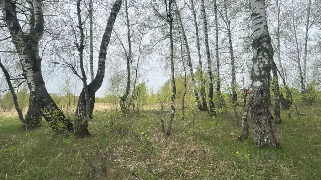 Участок в Московская область, Ступино городской округ, д. Щапово  ... - Фото 1