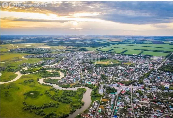 Участок в Новосибирская область, рабочий посёлок Краснозёрское (12 м) - Фото 0