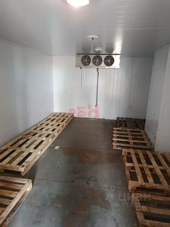 Склад в Воронежская область, Воронеж Солнечная ул., 15 (20 м) - Фото 1