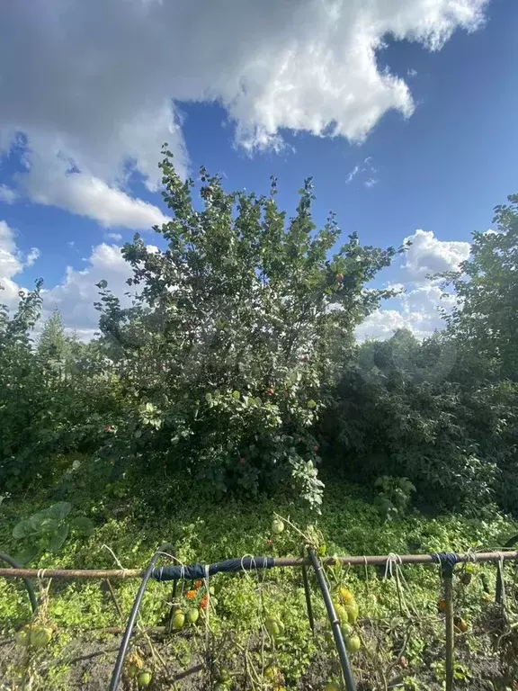 Дача 35 м на участке 12 сот. - Фото 0