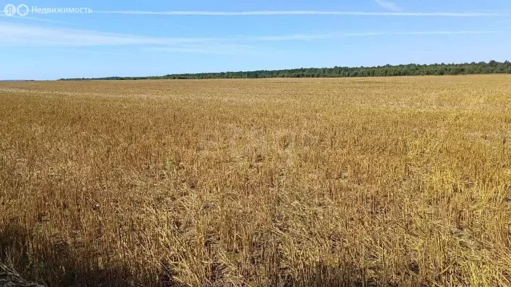 Участок в Сокуры, Раздольная улица (6 м) - Фото 1