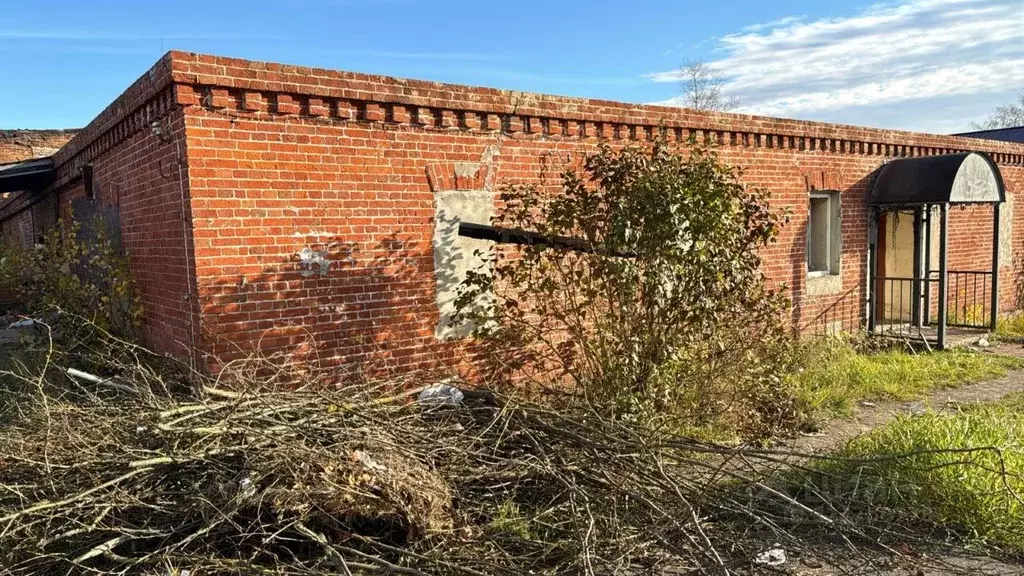 Помещение свободного назначения в Московская область, Рошаль ... - Фото 0