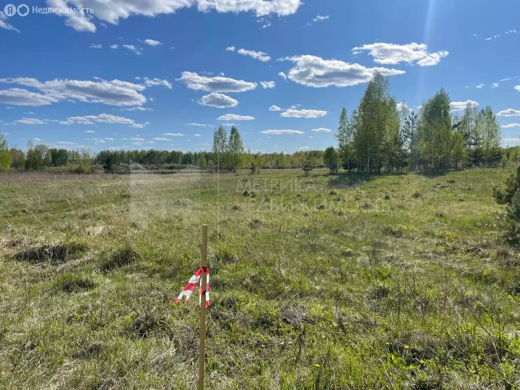 Участок в Нижнетавдинский район, село Тюнево (7 м) - Фото 1