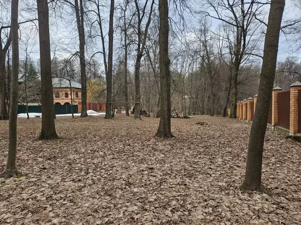 Участок в Московская область, Балашиха Салтыковка мкр, Серебрянка ... - Фото 2