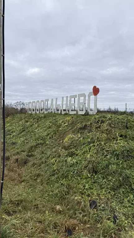 Участок в Ленинградская область, Волосовский район, Клопицкое с/пос, ... - Фото 1