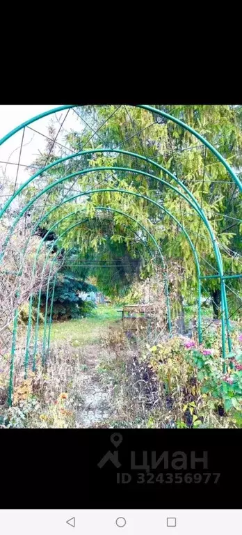 Дом в Самарская область, Ставропольский район, Жигули с/пос, с. Жигули ... - Фото 2