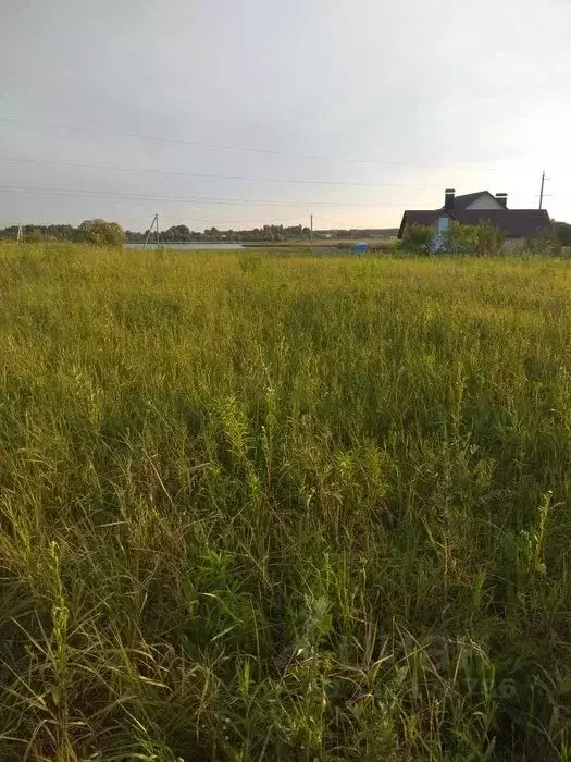 Участок в Московская область, Клин городской округ, д. Марино  (10.4 ... - Фото 0