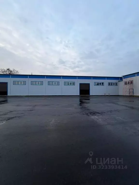 Склад в Московская область, Щелково городской округ, Производственная ... - Фото 1