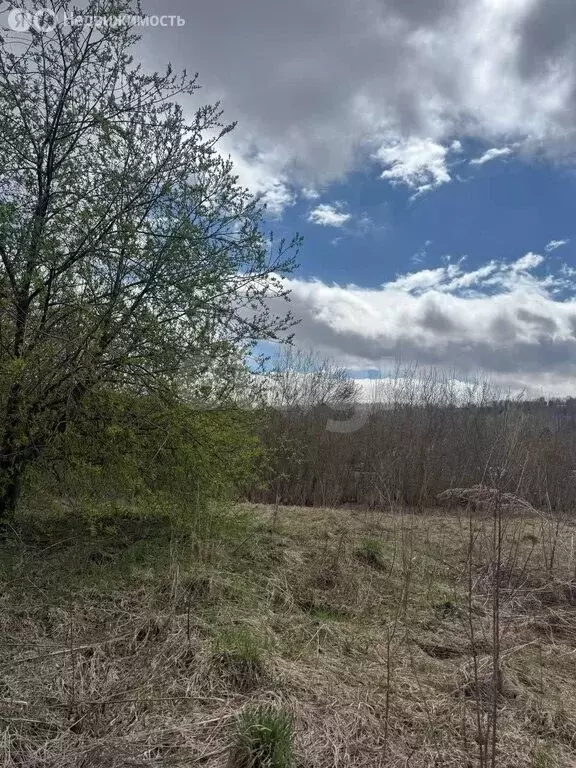 Участок в Красногорский район, посёлок Долина Свободы (5.64 м) - Фото 1