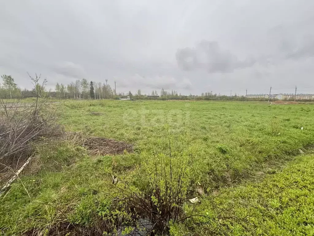 Участок в Костромская область, Шарья Северная ул., 10 (10.0 сот.) - Фото 0