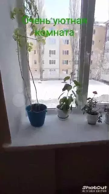 Комната 18,6 м в 1-к., 2/4 эт. - Фото 1