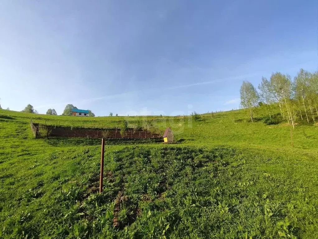 Участок в Алтай, Майминский район, с. Кызыл-Озек  (8.95 сот.) - Фото 1