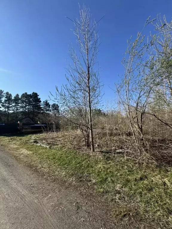 Участок в Алтай, Майминский район Р-256 Чуйский тракт, 457-й км (5.9 ... - Фото 2