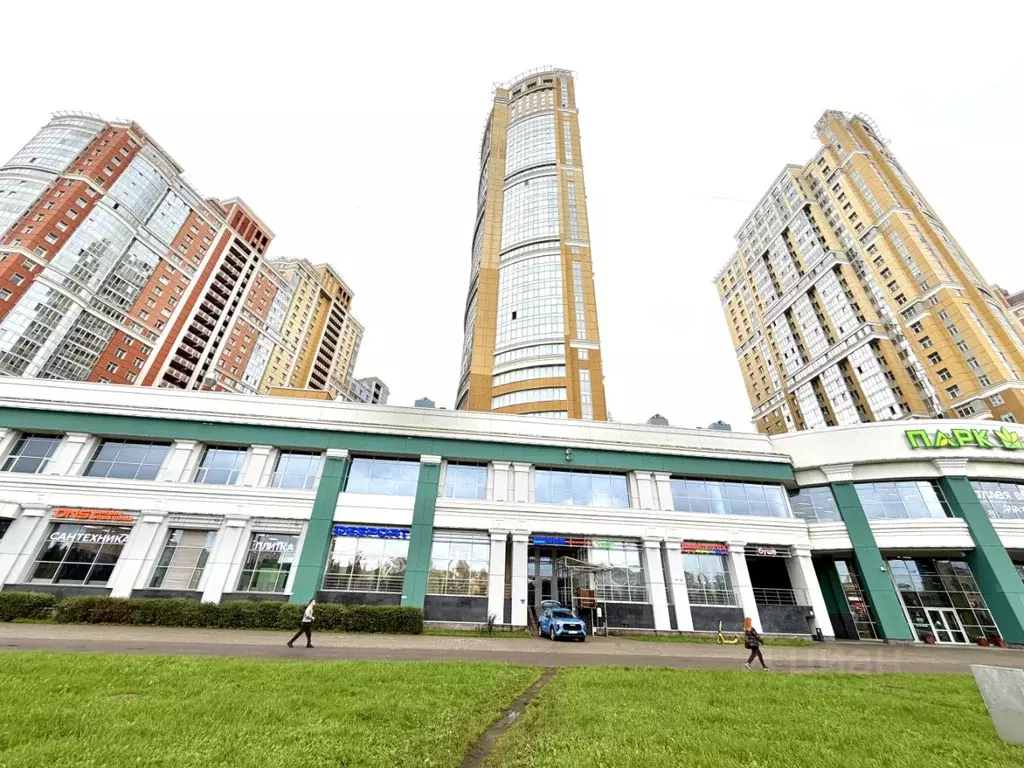 Студия Санкт-Петербург просп. Просвещения, 43 (24.9 м) - Фото 1