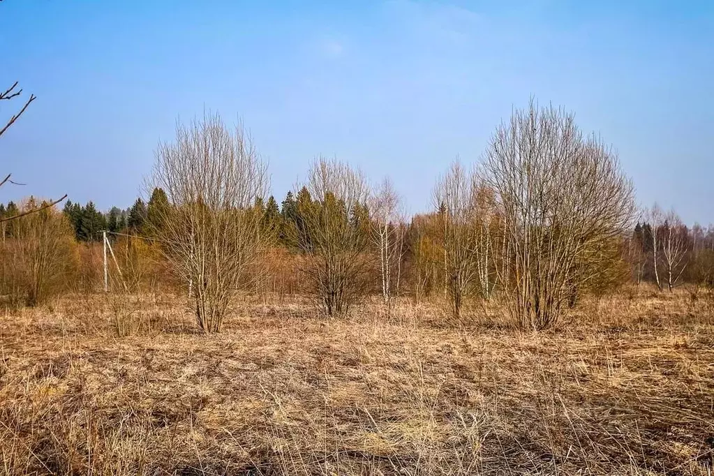 Участок в Московская область, Дмитровский муниципальный округ, ... - Фото 2