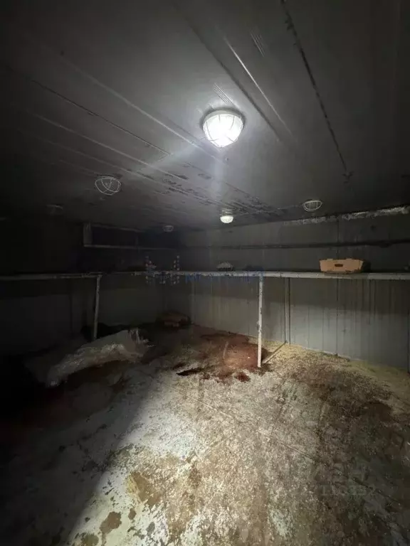 Производственное помещение в Нижегородская область, Дзержинск просп. ... - Фото 2