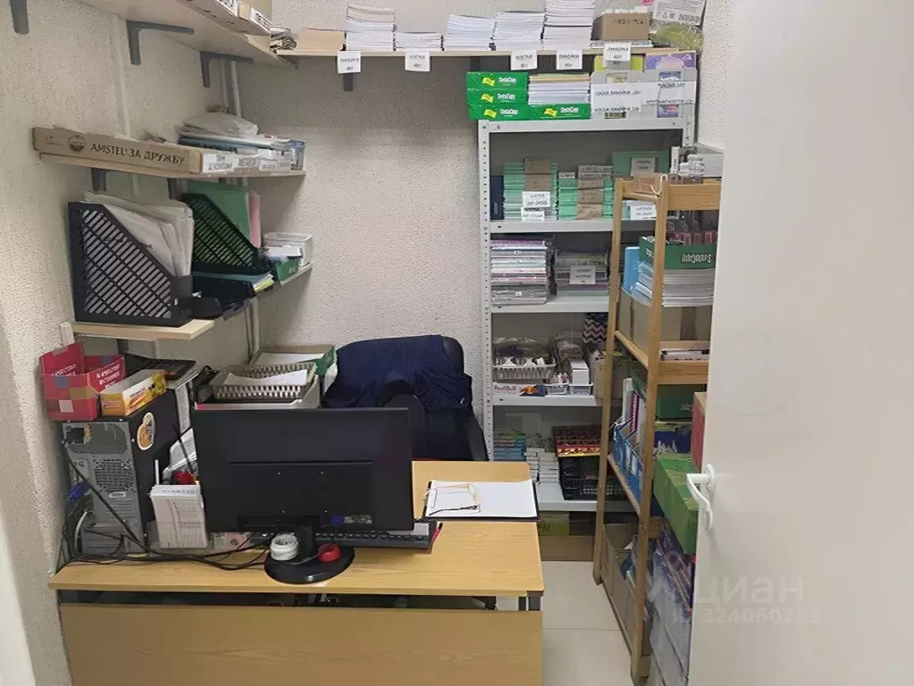 Помещение свободного назначения в Новосибирская область, Новосибирск ... - Фото 1