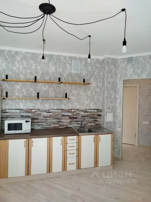 1-к кв. Новосибирская область, Новосибирск ул. Дмитрия Шамшурина, 1 ... - Фото 2