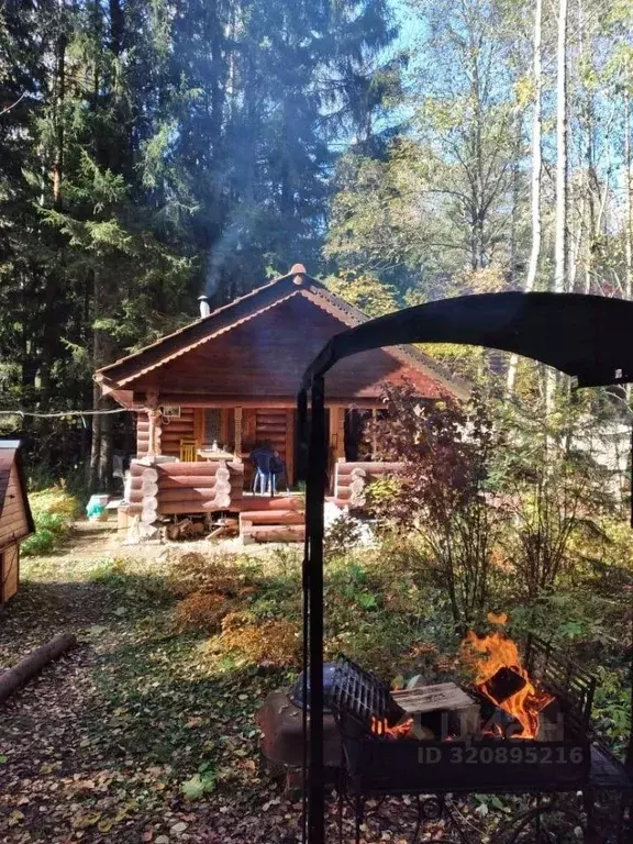 Участок в Калужская область, Жуковский муниципальный округ, Истье ... - Фото 1