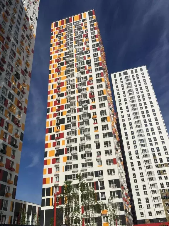 Студия Московская область, Красногорск ул. Липовой Рощи, 4к4 (32.5 м) - Фото 2