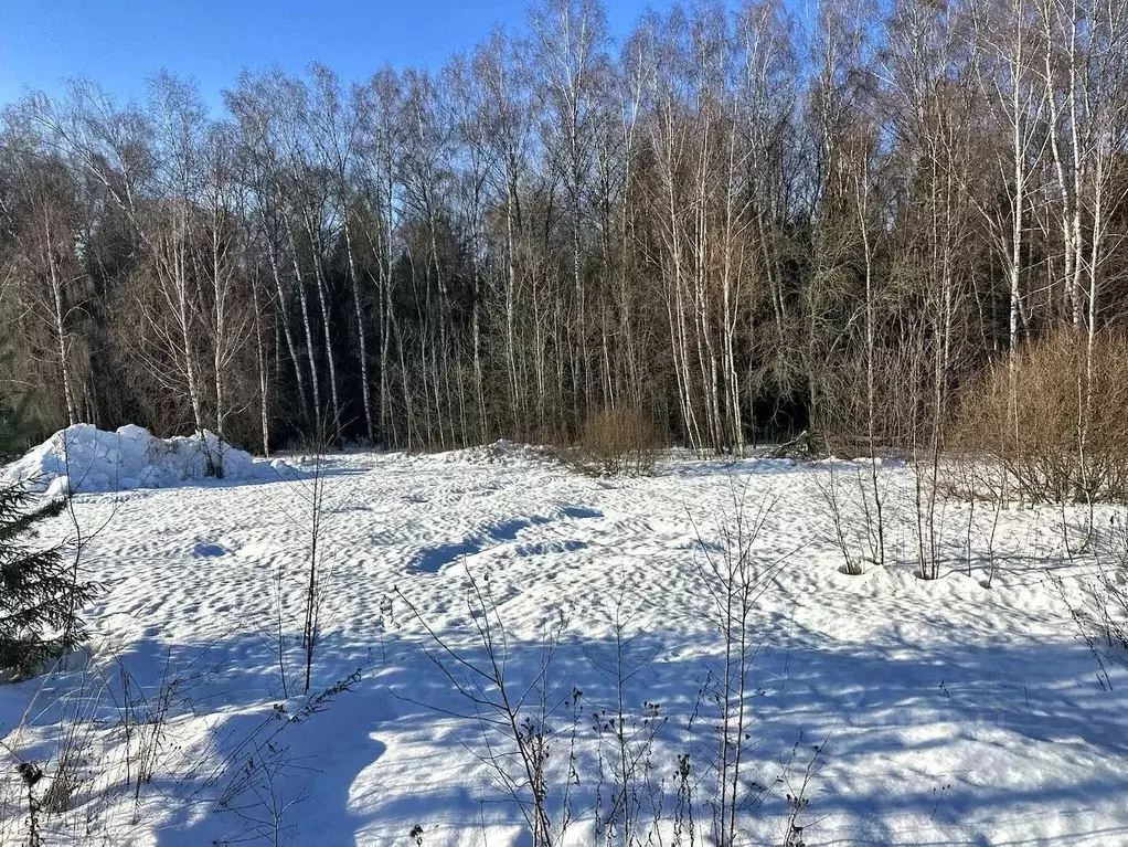 Участок в Московская область, Раменский муниципальный округ, д. Тяжино ... - Фото 2