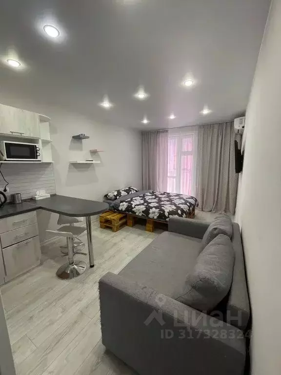 Студия Новосибирская область, Новосибирск ул. Забалуева, 88 (38.0 м) - Фото 1
