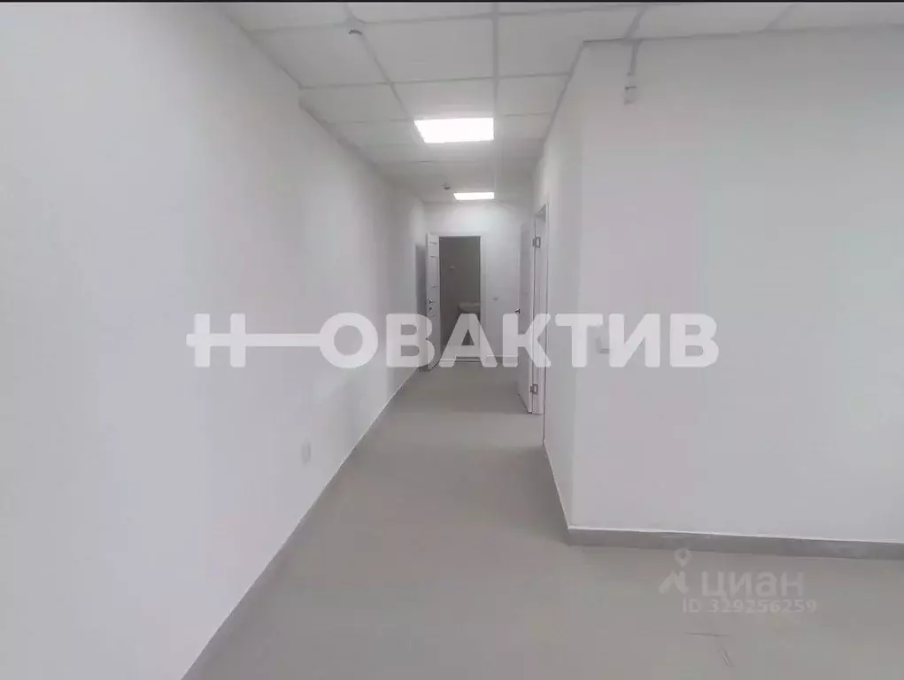 Помещение свободного назначения в Новосибирская область, Новосибирск ... - Фото 1