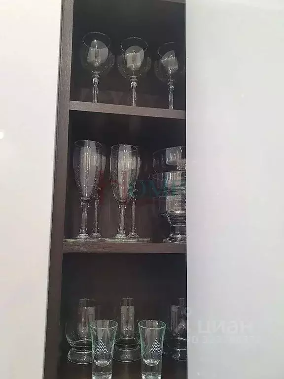 2-к кв. Новосибирская область, Новосибирск ул. Фрунзе, 252/1 (64.0 м) - Фото 2