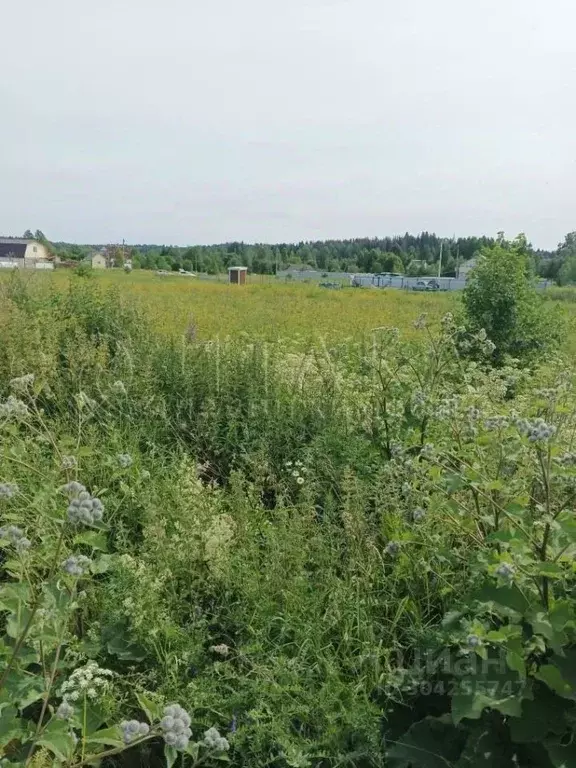 Участок в Ленинградская область, Выборгский район, Селезневское с/пос, ... - Фото 1