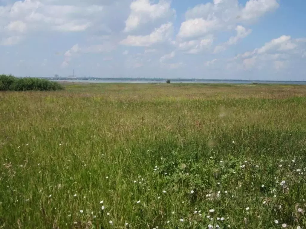 Участок в Челябинская область, Красноармейский муниципальный округ, ... - Фото 1