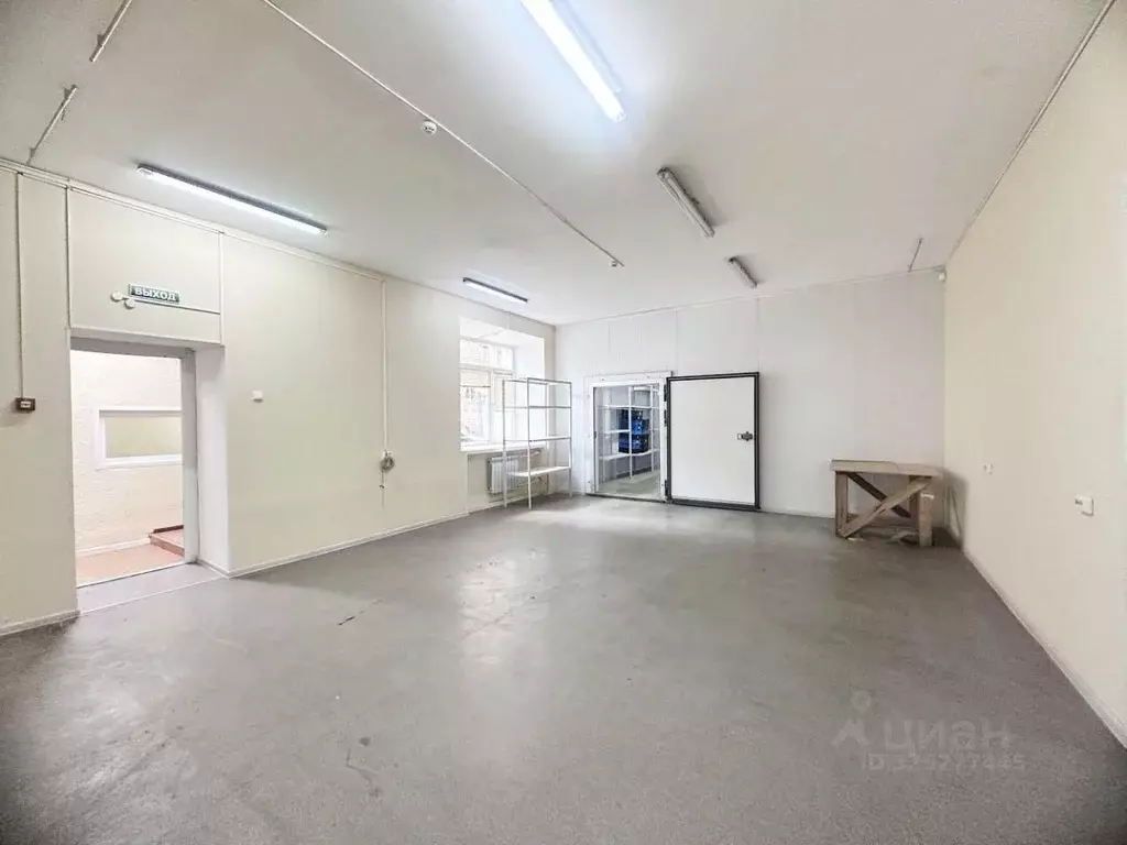 Помещение свободного назначения в Новосибирская область, Новосибирск ... - Фото 1