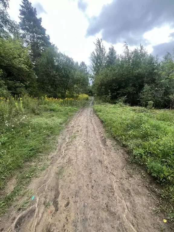 Участок в Орловская область, Орел Самолет СНТ,  (4.0 сот.) - Фото 1