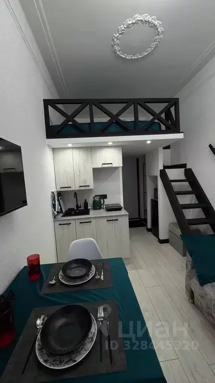 Студия Санкт-Петербург Коломенская ул., 33/40 (15.0 м) - Фото 2