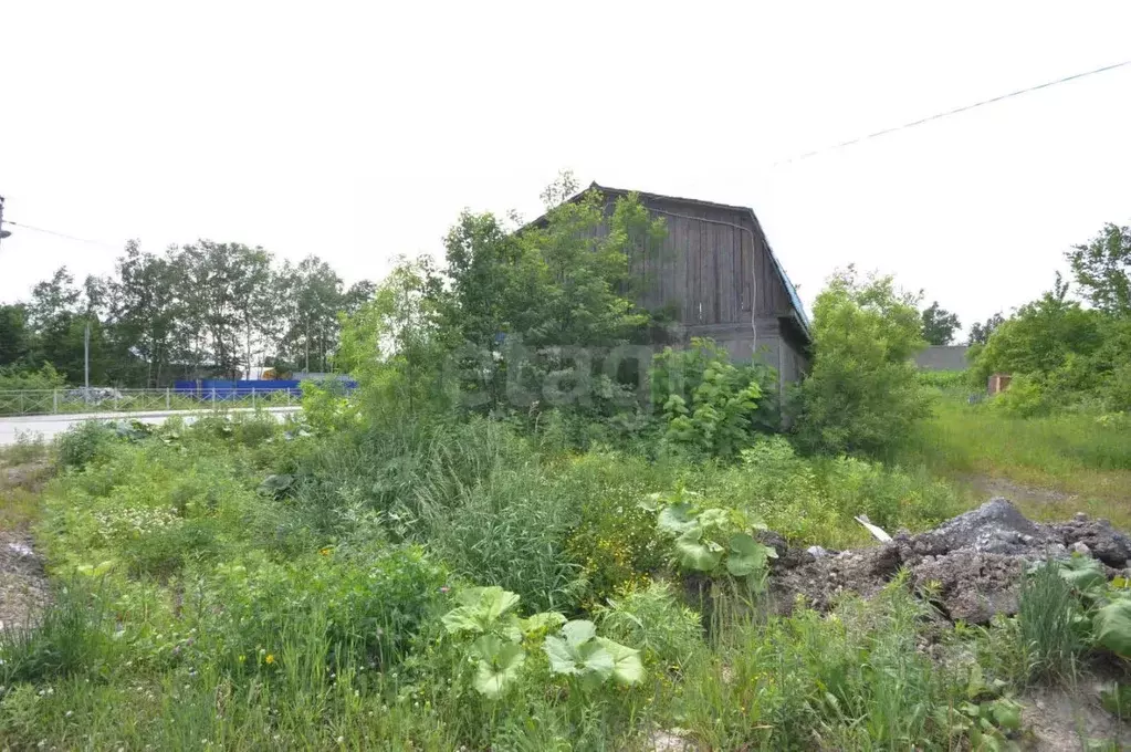 Участок в Сахалинская область, Южно-Сахалинск ул. Сиреневый Двор, 517 ... - Фото 1