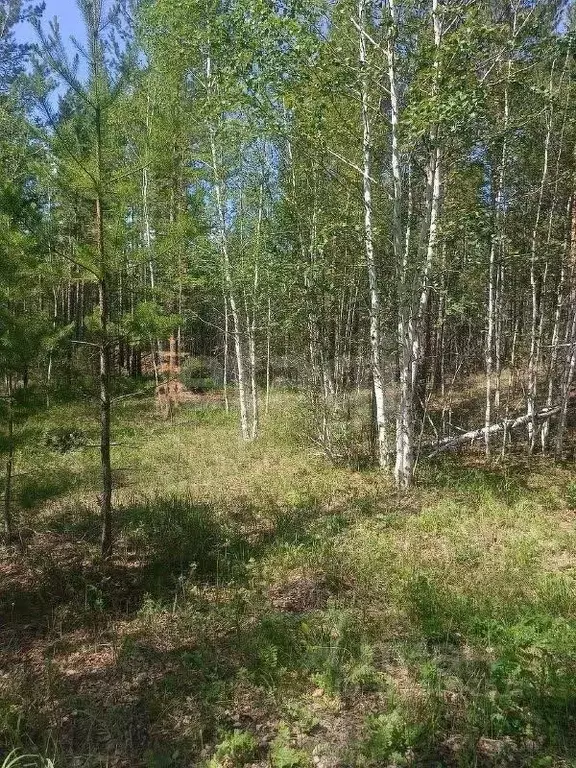 Участок в Забайкальский край, Читинский район, с. Смоленка  (26.0 ... - Фото 2