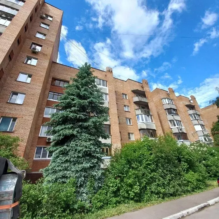 3-к кв. Московская область, Электросталь Восточная ул., 6 (74.0 м) - Фото 2