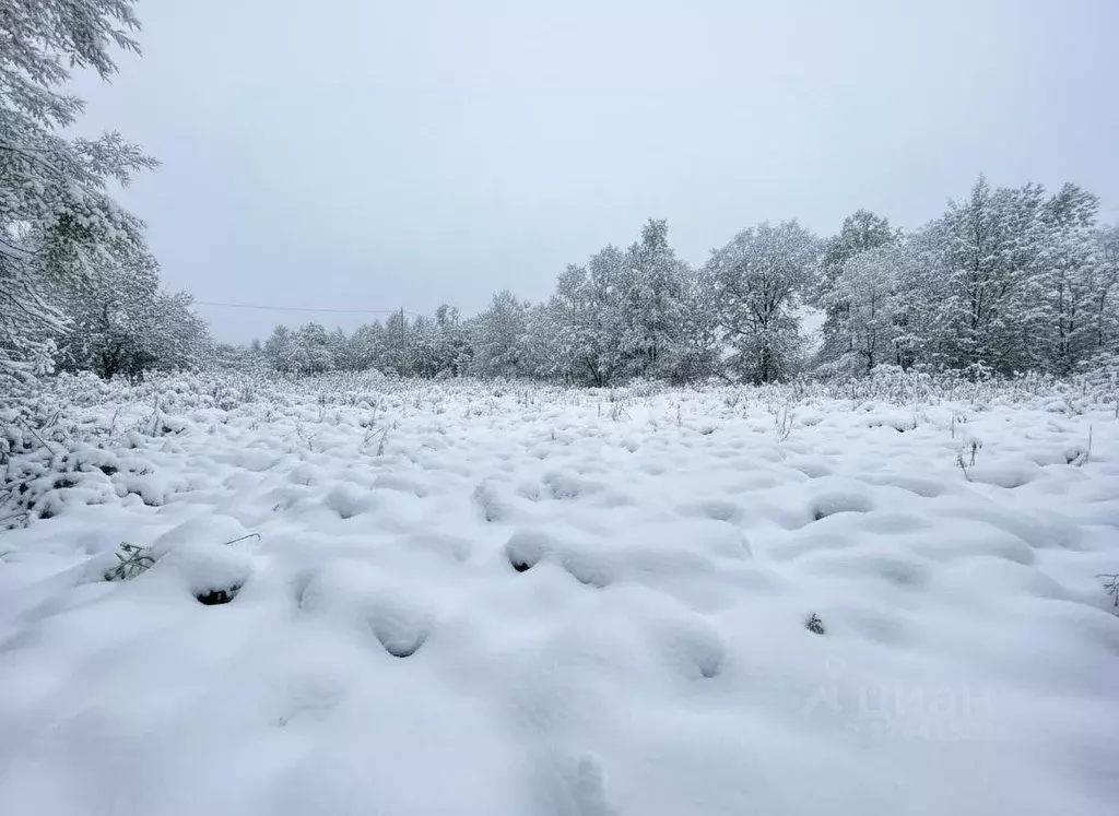 Участок в Камчатский край, Елизовский муниципальный округ, Вулканный ... - Фото 2