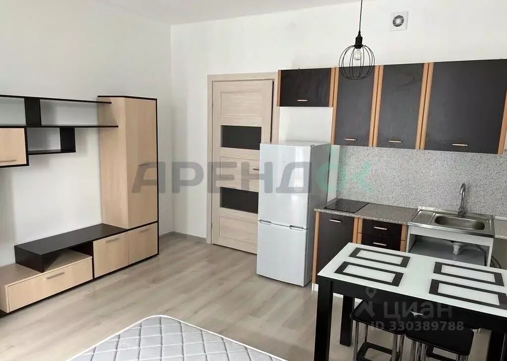 Студия Санкт-Петербург дор. Торфяная, 15к3 (25.0 м) - Фото 2