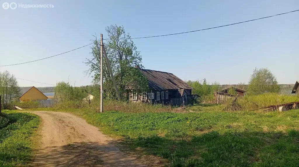 Участок в Вологодская область, Вытегорский муниципальный округ, ... - Фото 1
