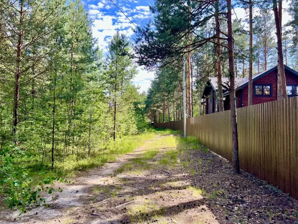 Участок в Ярославская область, Переславль-Залесский городской округ, ... - Фото 1