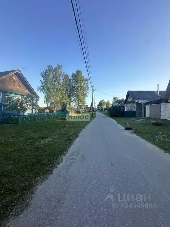 Участок в Нижегородская область, Бор муниципальный округ, д. Ильинское ... - Фото 2