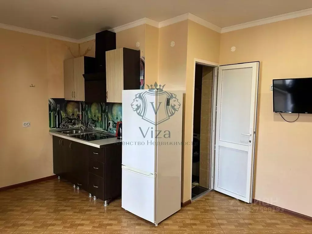 Студия Краснодарский край, Туапсинский муниципальный округ, с. ... - Фото 2