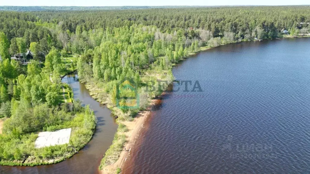 Участок в Ленинградская область, Всеволожский район, Куйвозовское ... - Фото 1