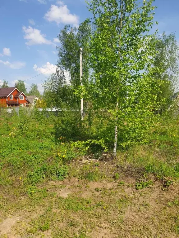 Участок в Московская область, Богородский городской округ, Якорь СНТ  ... - Фото 2