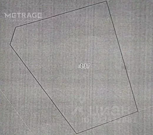 Участок в Новосибирская область, Колыванский район, Север ТСН 172 (7.5 ... - Фото 2