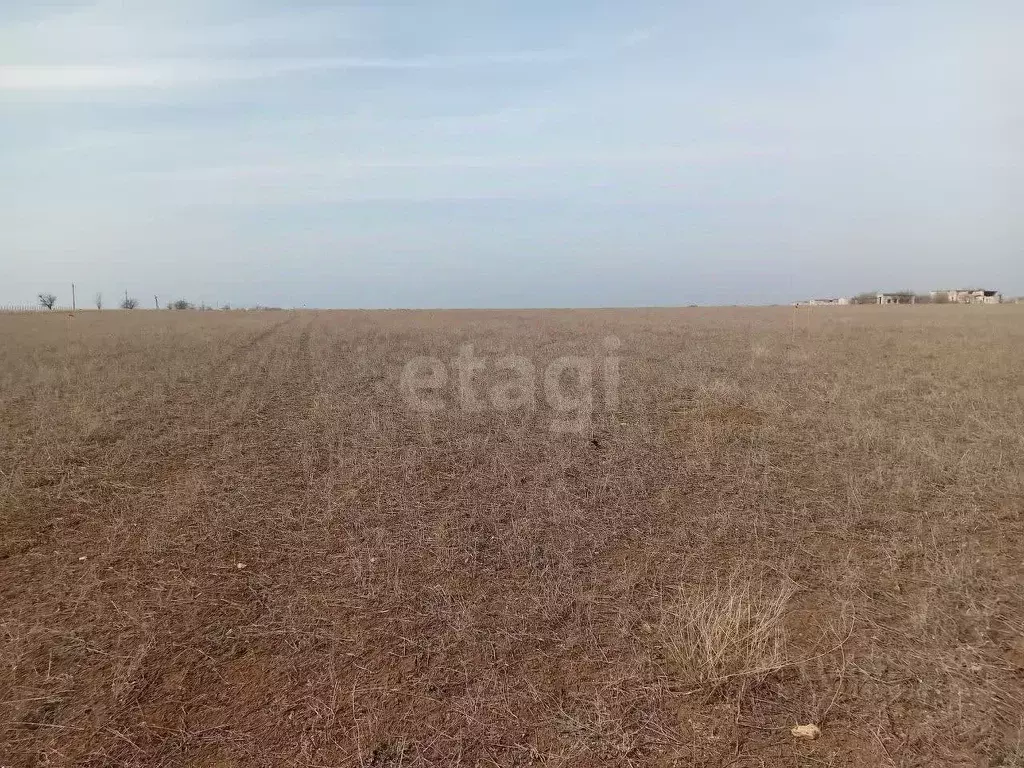 Участок в Крым, Сакский район, Штормовское с/пос проезд Сосновый (6.0 ... - Фото 1