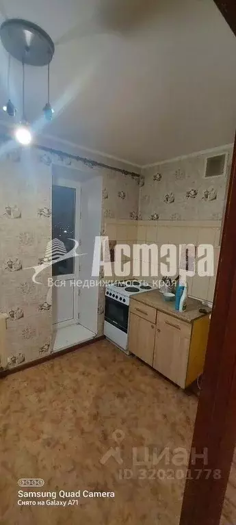 1-к кв. Забайкальский край, Чита ул. Ползунова, 13 (34.6 м) - Фото 1