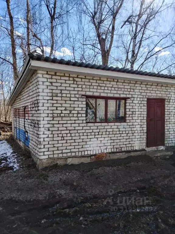 Помещение свободного назначения в Мордовия, Ичалковский район, с. ... - Фото 0