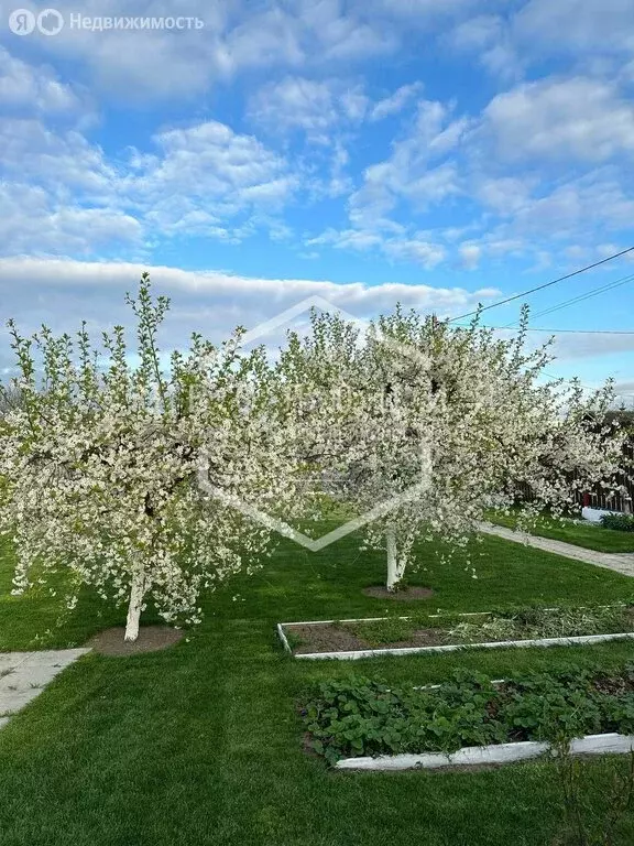 Дом в Калининград, СНТ Колосок, Геологическая улица, 1 (28 м) - Фото 1