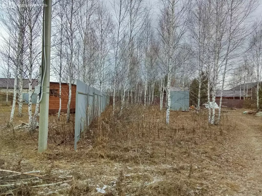 Участок в Челябинская область, Аргаяшский муниципальный округ, ... - Фото 2